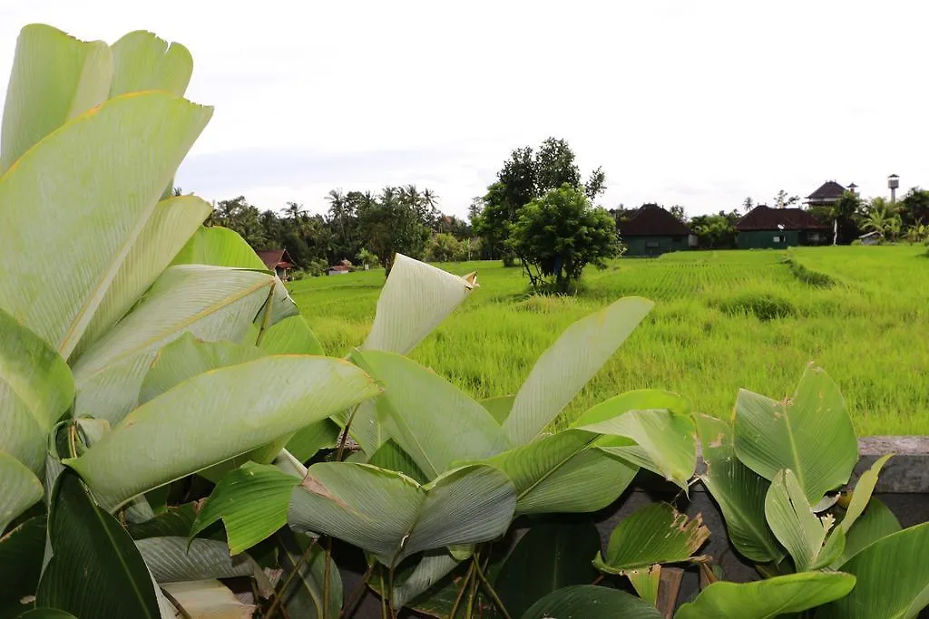 Uma Kutuh 2 Bed & Breakfast Ubud