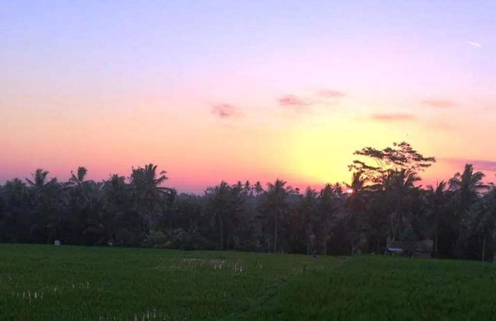 Uma Kutuh 2 Bed & Breakfast Ubud  Guest house