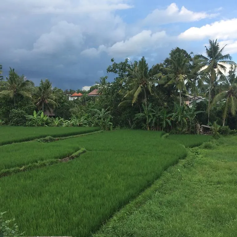 Bed and Breakfast Uma Kutuh 2 Ubud Gasthof
