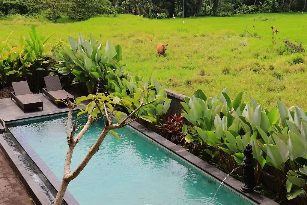 Gasthof Bed and Breakfast Uma Kutuh 2 Ubud